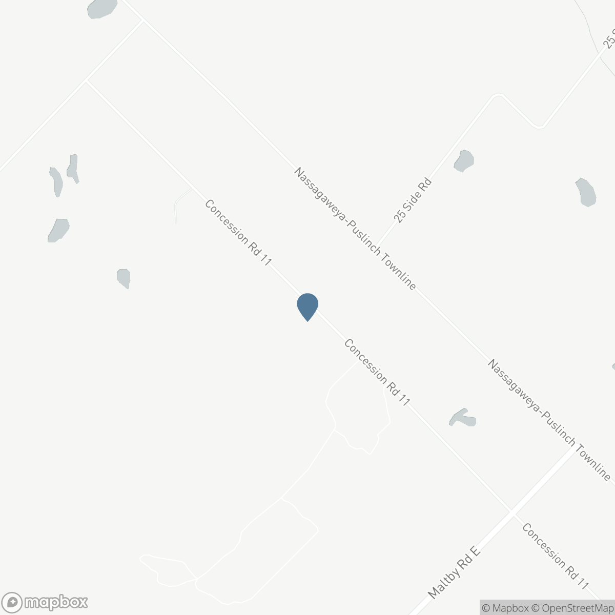 4676 CONCESSION 11 ROAD, Puslinch, Ontario N0B 2J0